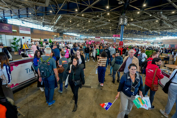 WORLDSKILLS-2024 Carpintería y Ebanistería